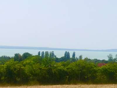 Eladó mezőgazdasági terület - Balatonakali / 9. kép