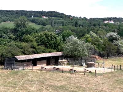 Eladó mezőgazdasági terület - Dörgicse / 4. kép