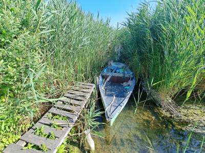 Eladó mezőgazdasági terület - Balatonakali / 1. kép