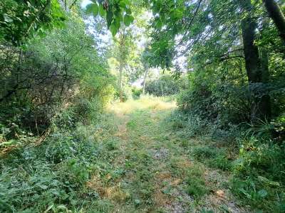 Eladó mezőgazdasági terület - Balatonakali / 8. kép