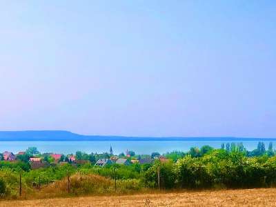 Eladó mezőgazdasági terület - Balatonakali / 2. kép