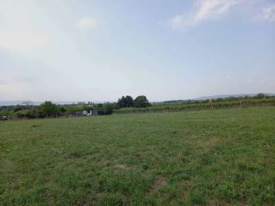 Eladó mezőgazdasági terület - Balatonakali / 11. kép