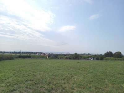 Eladó mezőgazdasági terület - Balatonakali / 6. kép