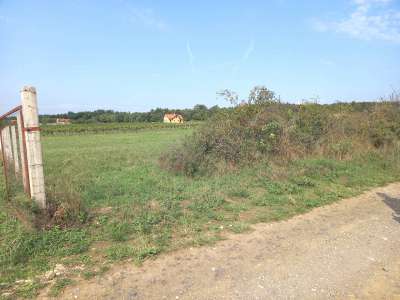 Eladó mezőgazdasági terület - Balatonakali / 2. kép