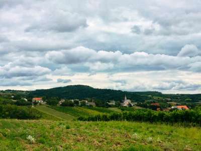 Eladó mezőgazdasági terület - Balatoncsicsó / 5. kép