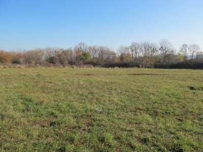 Eladó mezőgazdasági terület - Aszófő (Vörösmáli dűlő) / 1. kép