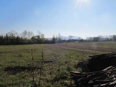 Eladó mezőgazdasági terület - Aszófő (Vörösmáli dűlő) / 3. kép