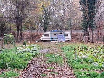 Eladó mezőgazdasági terület - Badacsonytördemic / 22. kép