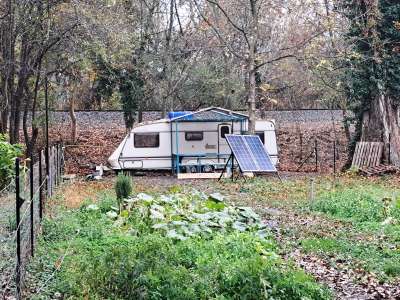 Eladó mezőgazdasági terület - Badacsonytördemic / 7. kép
