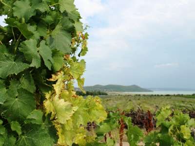 Eladó építési telek - Balatonfüred / 3. kép