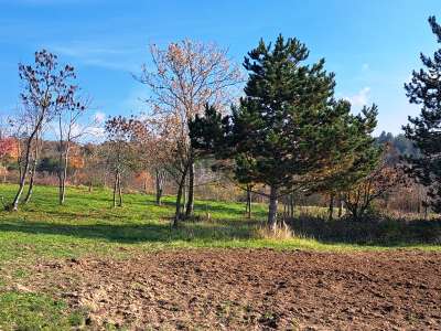 Eladó építési telek - Cserszegtomaj / 6. kép