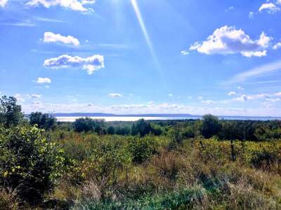 Eladó mezőgazdasági terület - Dörgicse (Becce dűlő) / 1. kép