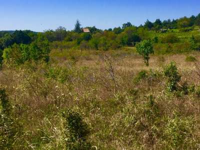 Eladó mezőgazdasági terület - Dörgicse (Becce dűlő) / 3. kép