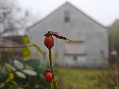 Eladó családi ház - Balatonfüred / 2. kép