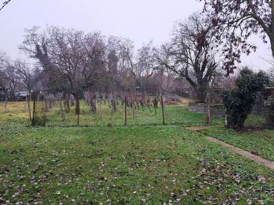 Eladó családi ház - Köveskál / 15. kép