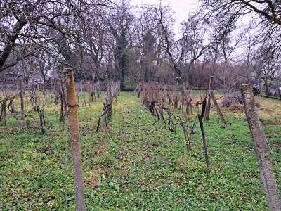 Eladó családi ház - Köveskál / 16. kép