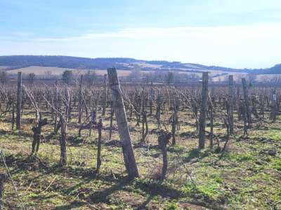 Eladó zártkert - Balatoncsicsó / 6. kép