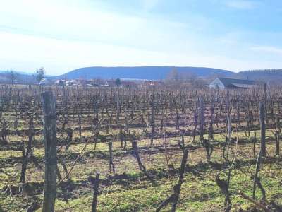 Eladó zártkert - Balatoncsicsó / 8. kép