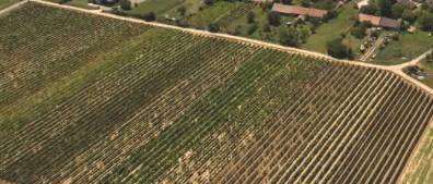 Eladó zártkert - Balatoncsicsó / 3. kép