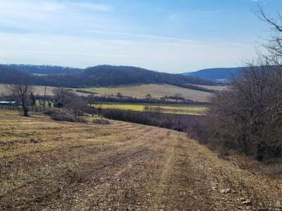 Eladó zártkert - Balatoncsicsó / 1. kép