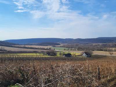 Eladó zártkert - Balatoncsicsó / 3. kép