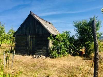 Eladó mezőgazdasági terület - Dörgicse / 1. kép