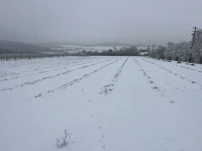 Eladó mezőgazdasági terület - Szentjakabfa / 1. kép