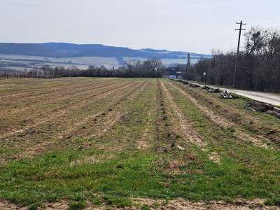 Eladó mezőgazdasági terület - Szentjakabfa / 5. kép