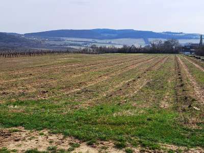 Eladó mezőgazdasági terület - Szentjakabfa / 1. kép