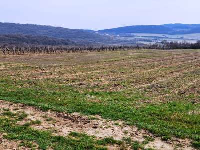 Eladó mezőgazdasági terület - Szentjakabfa / 2. kép