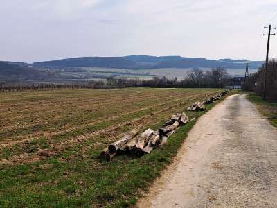 Eladó mezőgazdasági terület - Szentjakabfa / 6. kép