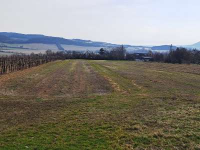 Eladó mezőgazdasági terület - Szentjakabfa / 9. kép