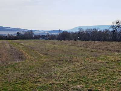 Eladó mezőgazdasági terület - Szentjakabfa / 10. kép
