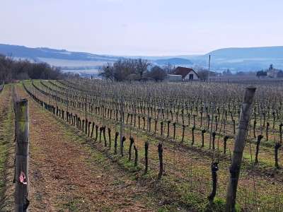 Eladó zártkert - Szentjakabfa / 3. kép