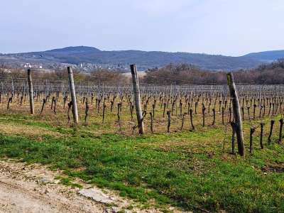 Eladó zártkert - Szentjakabfa / 1. kép