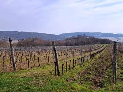 Eladó zártkert - Szentjakabfa / 9. kép
