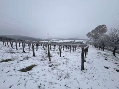 Eladó mezőgazdasági terület - Szentjakabfa / 1. kép