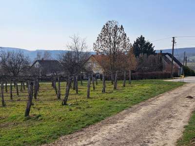 Eladó mezőgazdasági terület - Szentjakabfa / 9. kép