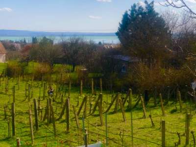 Eladó nyaraló - Kővágóörs / 23. kép