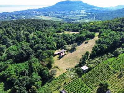 Eladó gazdasági épület - Káptalantóti / 9. kép