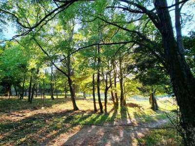 Eladó gazdasági épület - Káptalantóti / 16. kép