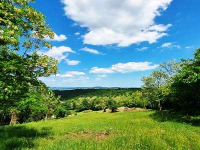 Eladó gazdasági épület - Káptalantóti / 17. kép