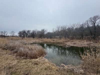 Eladó mezőgazdasági terület - Balatonfüred / 1. kép