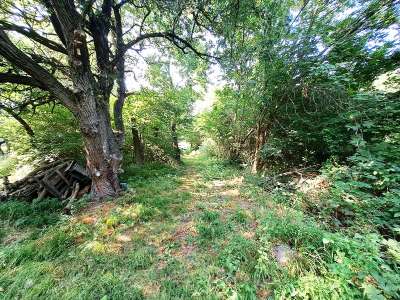 Eladó mezőgazdasági terület - Balatonakali / 3. kép