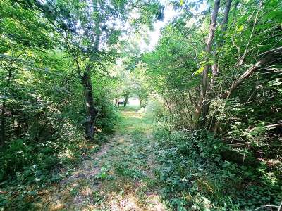 Eladó mezőgazdasági terület - Balatonakali / 1. kép