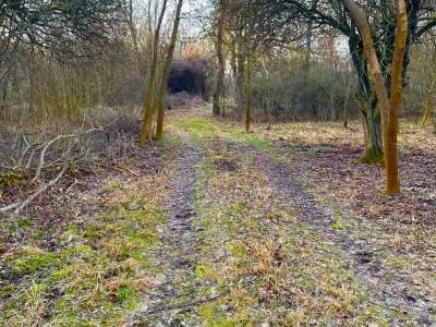 Eladó mezőgazdasági terület - Balatonakali / 4. kép