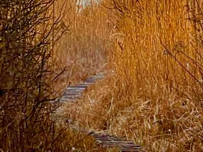 Eladó mezőgazdasági terület - Balatonakali / 6. kép