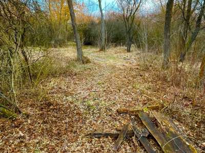 Eladó mezőgazdasági terület - Balatonakali / 7. kép