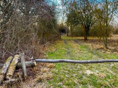 Eladó mezőgazdasági terület - Balatonakali / 9. kép