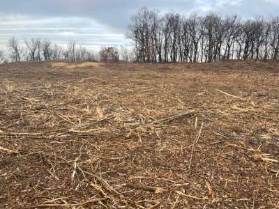 Eladó zártkert - Balatonszőlős / 5. kép